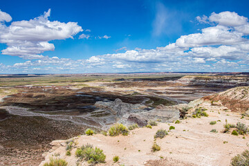 Otherworldly landscape at Petrified Forest National Park in Arizona.