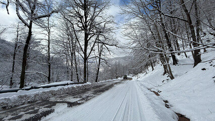 A beautiful snow-covered road and winter forest