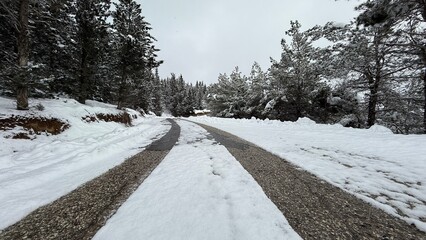 A snow-covered road and winter forest 