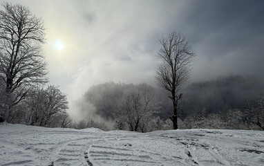 A serene winter landscape unfolds, where untouched snow blankets the hillside beneath drifting clouds