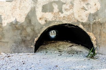 close-up of an old culvert system under a roadway to help prevent water from pooling. tunnel...