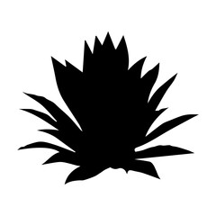 agave americana glyph icon