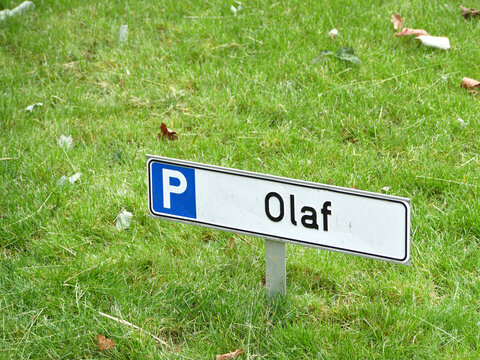 Parking in the green for Olaf