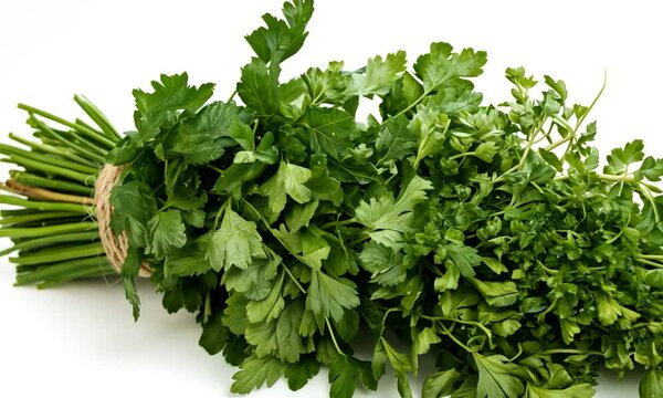 Fresh bunch of parsley on a white background, ideal for culinary use and healthy recipes