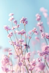Obraz premium Delicate Pink Flowers Blooming Under a Soft Blue Sky in a Tranquil Natural Setting for Peaceful Ambiance
