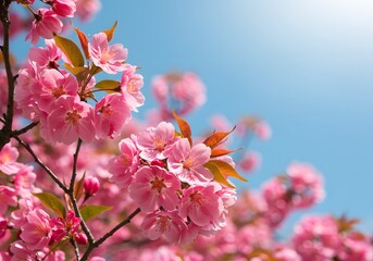 Sun-kissed petals sparkle, revealing nature’s gentle invitation to rejoice anew.