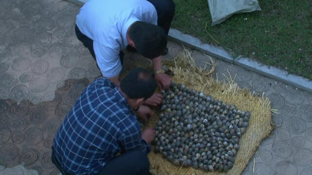 North Korean man cooking clams with petrol, Nampo, North Korea