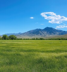 Fototapeta premium Expansive Green Meadow with Majestic Mountain Landscape Under Clear Blue Sky and Fluffy White Clouds in Natural Setting