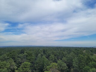 Fototapeta premium The foreground is a dense forest, various shades of green trees. The background reveals a lighter, almost hazy, sky with scattered, fluffy, white clouds, against which the darker blue sky is visible.