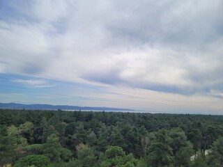The foreground is a dense forest,  various shades of green trees. The background reveals a lighter, almost hazy, sky with scattered, fluffy, white clouds, against which the darker blue sky is visible.