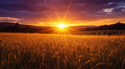 Vibrant Sunset Over Golden Wheat Field