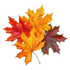 Fototapeta premium Vibrant Seasonal Leaves in Vivid Colors for Autumn Botanical Decor and Design Projects, isolated on transparent background.