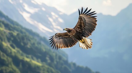 Naklejka premium A soaring bird with spread wings above mountain landscapes