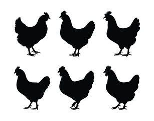 Hen Silhouette Vector Template Design