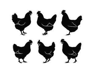 Simple Hen Silhouette Vector Template