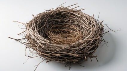 Obraz premium Naked bird's nest on a white background