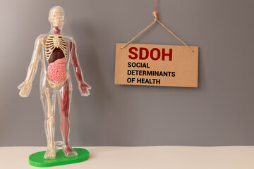 SDOH Social Determinants Of Health - economic and social conditions that influence individual