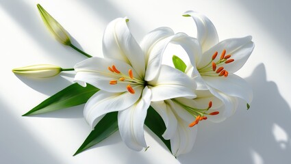 Condolence card featuring white flowers. Symbol