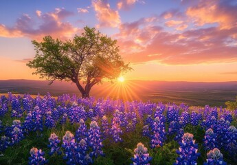 Obraz premium Stunning Sunrise Over Vibrant Wildflowers and Solitary Tree in a Breathtaking Landscape with Colorful Sky and Gentle Rolling Hills