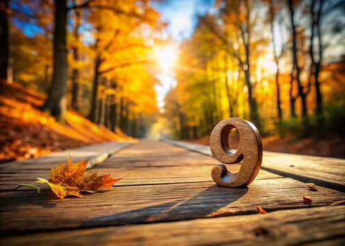 Magical Autumn Forest: Wooden Number 9A Drone Shot