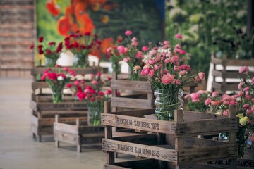 Fototapeta premium Colourful bouquets of ranunculus and anemone blossoms 