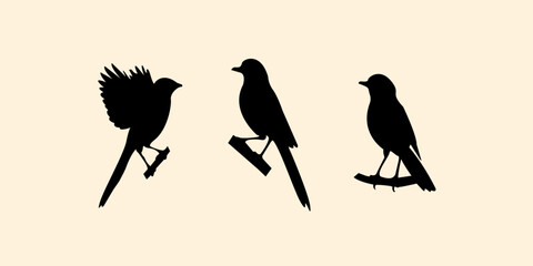 Graphic set silhouette of magpie bird concept. 2D icon of bird animal on black shadow template. vector illustration. Black magpie silhouette on white background.