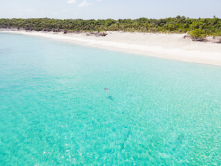 Aerial view Pink Island, The Bahamas, clear waters near a tropical coastline with lush greenery.