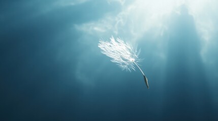 Single Dandelion Seed Head Against Blue Sky