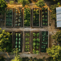 Aerial view of organized vegetable garden beds with greenery