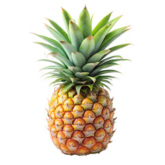 Fototapeta premium pineapple on transparent background