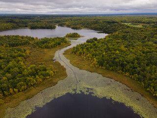 Aerial View of a Serene River Winding Through a Lush Forest in Minnesota