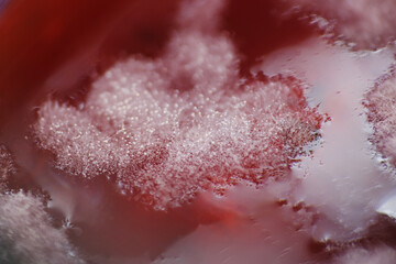 Growth of molds or spores on homemade strawberry jammed