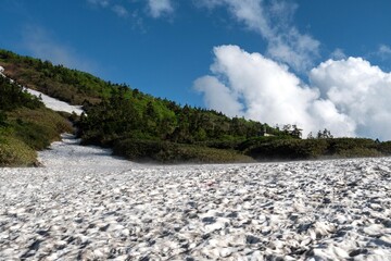 冷気漂う雪渓
