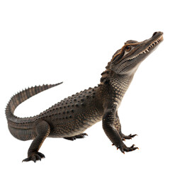 Fototapeta premium Dwarf Crocodile AI Generated Image