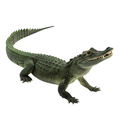 Obraz premium Dwarf Crocodile AI Generated Image