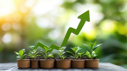 Lively Green Plants with an Ascending Growth Arrow Demonstrating Positive Trends in Eco-Friendly Gardening and Nurturing Sustainable Practices