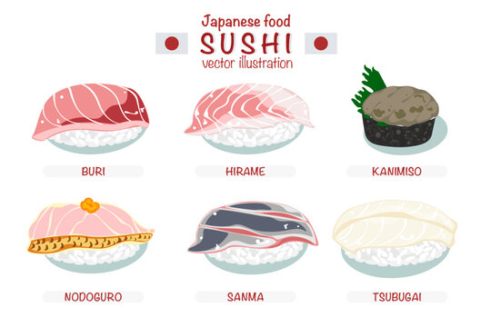 Set of different types of sushi vector illustration. Delicious food. Popular Japanese food. Nigiri sushi. Raw fish on rice. Recipe. Cooking. Menu. Restaurant. For food design, poster and background.
