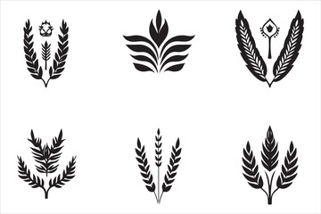 Botanical Wheat Ears Vector Set