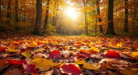 Autumn's golden embrace in a forest path.