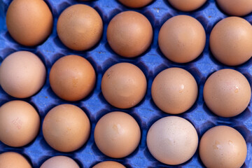 Close up of organic Brown eggs in tray or egg box. Poultry Hen Chicken eggs in carton for grocery or breakfast