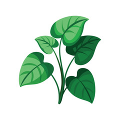 green leaves isolated on white background