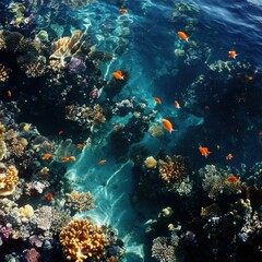 Obraz premium Vibrant Coral Reef Ecosystem with Orange Fish Swimming in Clear Ocean Water
