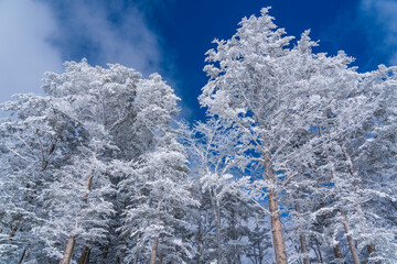 新道峠スノーハイク