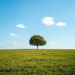 Obraz premium Serene Landscape Single Tree in Green Field Under Blue Sky with Clouds
