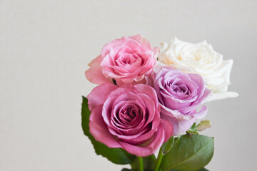 カラフルなばら