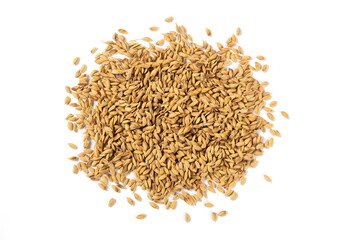 Drying the paddy, rice seeds wrapped in husks  isolated on white background 