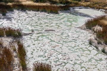 West Thumb Geyser Basin, Yellowstone Lake / Yellowstone National Park. Wyoming
