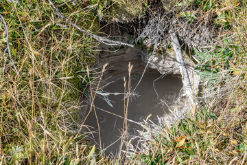 West Thumb Geyser Basin, Yellowstone Lake / Yellowstone National Park. Wyoming
