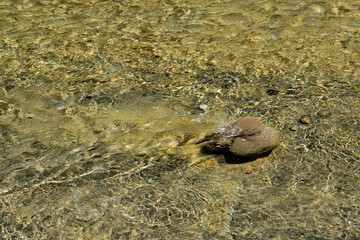 Oyster River Hiking area beautiful water nature Vancouver island British Columbia Canada