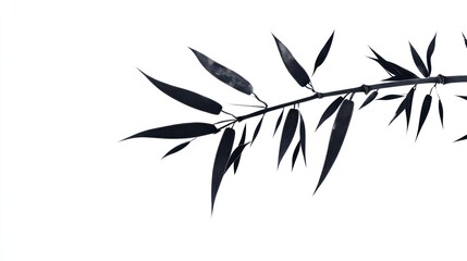 Abstract bamboo branch silhouette against white background. Possible use  Decorative, artistic, print, etc.